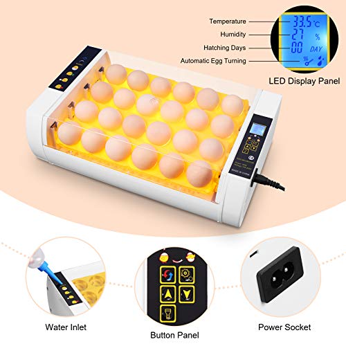 Egg Incubator for Hatching Chicks, 24 Eggs Automatic Egg Incubator