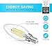 SHINE HAI Candelabra LED Filament Bulbs 40W Equivalent, 4000K Daylight White Chandelier B11 LED Bulb E12 Base Decorative Candle Light Bulb, Pack of 12