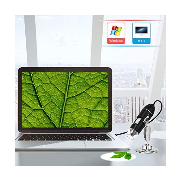 Hayve Digitales Mikroskop, 1000X, 1080P, elektronisches Mini-USB-Mikroskop, Vergrößerung, Münzkamera mit 8 LED-HD… – Bild 7