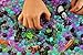 SENSORY4U Dew Drops Water Beads Jungle Excursion Tactile Sensory Toys Bin Kit - Rain Forest Toy Animals Included