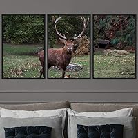 3 Piece Framed Canvas Wall Art Spiritual Animals Deer Canvas Prints Home Artwork Decoration for Living Room,Bedroom - 16