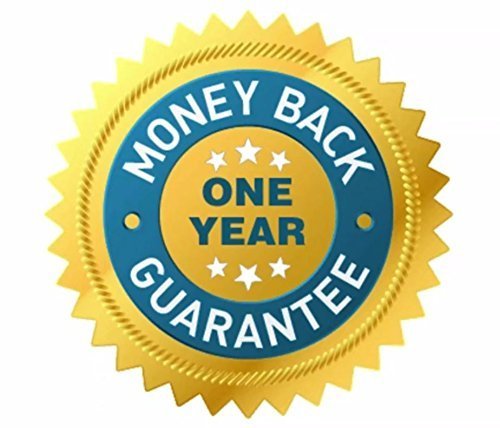 Spiral Slicer Vegetable Zoodle Spiralizer - Veggie Noodle Maker Pasta Cutter - With Kitchen Peeler Bundle