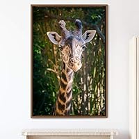 Framed Canvas Wall Art Giraffe Animals Expressive Farmhouse/Country Giraffe Living Room Multicolor Photography - 16x24 inches