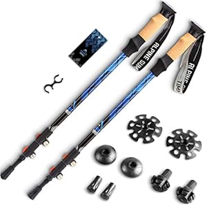 alpine summit trekking poles