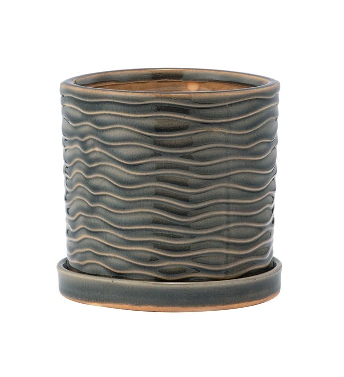 Photo 1 of Napco Imports Indoor Outdoor Plant Succulent Herb Flower Pot 5 Inch Ceramic Sage Wave