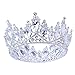 Vintage Rhinestones Crystal Crown for Women Wedding Bridal Tiara Flower Crown Hair Accessories (silver-white)