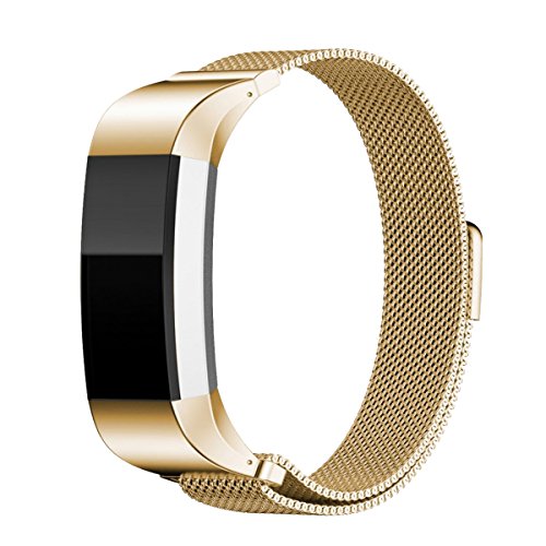 Metal Band for Fitbit Charge 2,Jewelry Accessories Bracelet with Magnetic Fastener, Small and Large Size Available