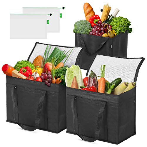 Syntus 5 Set Insulated Reusable Grocery bags 2 Pack XL Insulated