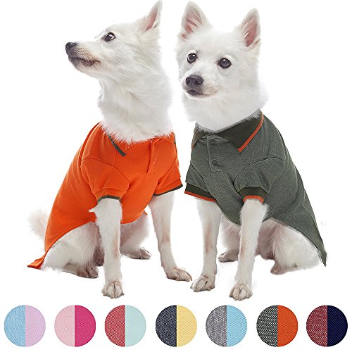 Blueberry Pet Pack of 2 Back to Basic Cotton Blend Dog Polo Shirts in Orange and Olive Green, Back Length 10", Clothes for Dogs
