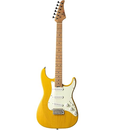 Amazon.com: EART Electric Guitar DMX-9, 6 String Tremolo Bridge