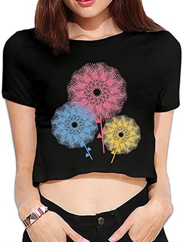 GqutiyulU Pattern Windmill Women's Basic Flowy Crop Top T-Shirt XL Black