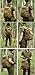 HUNTVP 40L Military Tactical Backpack MOLLE Assault Daypack Rucksack WR (Dark Brown)