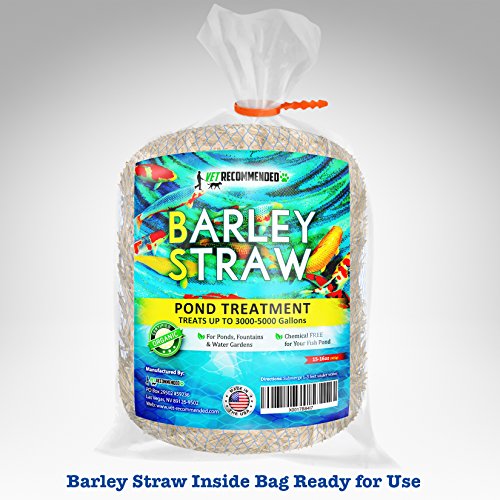Vet Barley Straw for Fish Ponds and Fountain (16 Oz