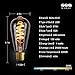 Vintage Edison LED Bulb SEALIGHT Antique Flexible LED Filament Light For Decorate Home-Dimmable 4W ST64 E26 Screw Base-WARM white 2200K- Edison Bulb 40W Equivalent Indoor and Outdoor- 1 pack