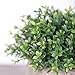 HC STAR Artificial Plant Potted Mini Fake Plant Decorative Lifelike Flower Green Plants Indoor and Outdoor Small Green Plants Fake Grass Plant for House Desk Shelf Greenery Room Decorations