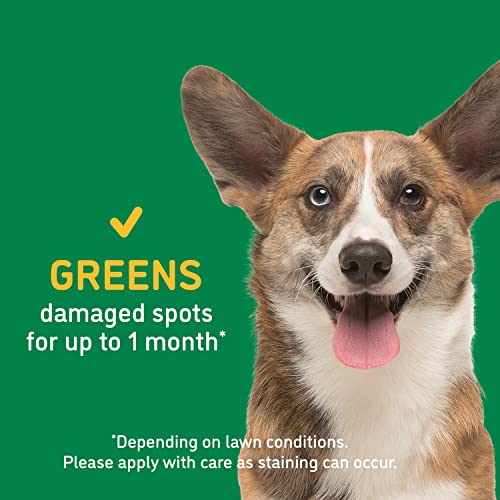 BarkYard UnMark Green Grass Paint and Lawn Spray for Dog Spot Repair