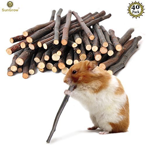 Apple Cinnamon Chew Sticks - Molar and Teeth Grinding Toy for Small Pets - Pet Snack for Rabbits, Chinchillas, Hamsters, Guinea Pigs â€“ Natural Apple Orchard Sticks for Healthy Teeth, Good Digestion