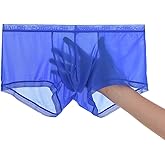 JINSHI Ice Silk Mens Sexy Underwear For Straight Men See Through Boxers Ultra Thin Sheer Trunk Bulge Pouch Boxer Briefs