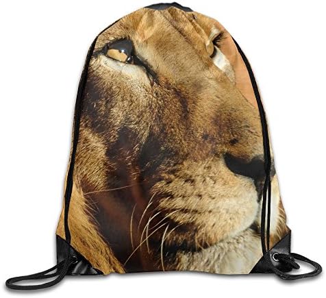The Lion Of Judah3D Print Drawstring Backpack Rucksack Small Shoulder Bags Gym BagPrint Drawstring Backpack