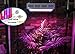 ACKE 300 LED Grow Light Full Spectrum Plant Light for Indoor Plants Green House Hydroponics Herb Veg Seedlings and Flower