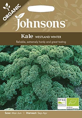 Johnsons UK/JO/VE Organic Kale Westland Winter Seed (2)