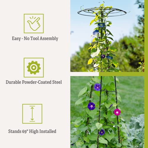 Gardener's Supply Company Essex Trellis For Climbing Plants Outdoor