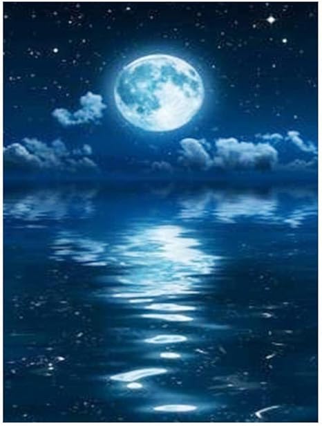 Amazon Co Jp 数字の絵の具 Diy 油絵 数字の絵 子 ト 子供 大人用 夜景月景 16インチ X インチ ブ フレームレス ホビー