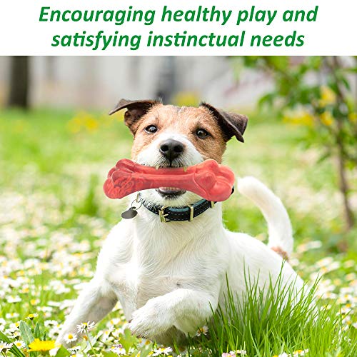 DOMIGLOW Dog Chew Toys - Puppy Teething Chew Toys Pet Dog Interactive Toys Perfect for Small/Medium Dogs (Red)