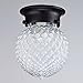 Truelite Industrial Antique Style Plantation Collection Flush Mount Ceiling Light Prismatic Glass Globe Light Fixtures