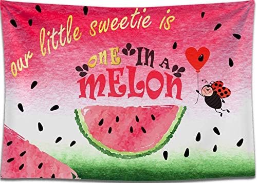 Dephoto スイカの背景幕 誕生日パーティー メロンの赤い写真撮影 水彩 夏 果物