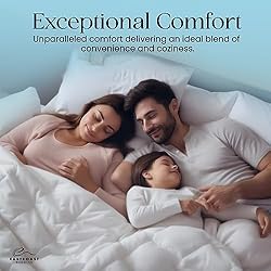 East Coast Bedding Cozy Dream Goose Down and