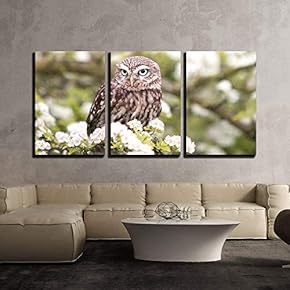 Owl Stand on Flowers x3 Panels
