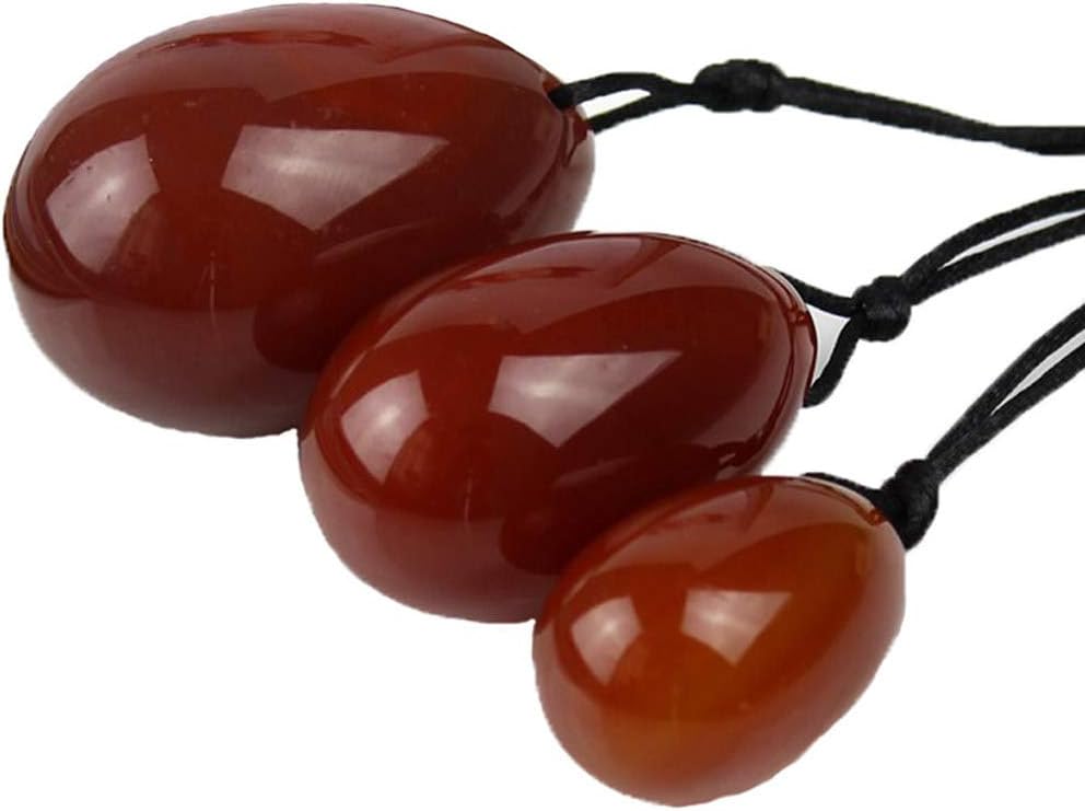 supporto vescicale per i classici veterinari per cani