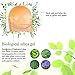 HUBORLOVES Self Adhesive Deep U Plunge Bra Push Up Backless Sticky Adhesive Invisible Bras, D, Beige