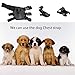 Suptig Dog Harness Chest Strap Belt Mount for GOPRO Hero 6 Hero 5 Hero 4 Hero 3+ Hero 3 Yi action