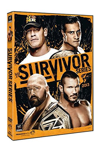 Survivor Series 2013