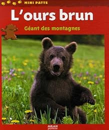 L' ours brun