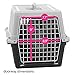 Ferplast Atlas 10 Cat and Dog Carrier, Fuchsia Pink