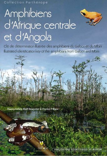 Amphibiens d'Afrique centrale et d'Angola