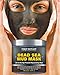 100% Natural Mineral-Infused Dead Sea Mud Mask 8.8 oz for Facial Treatment, Skin Cleanser, Pore Reducer, Anti Aging Mask, Acne Treatment, Blackhead Remover, Cellulite Treatment & Natural Moisturizer