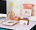 PAG Rose Gold Office Supplies 5 in 1 Desk Organizer Set - Hanging File Organizer, File Tray, Letter Sorter, Pencil Holder and Sticky Note Holder