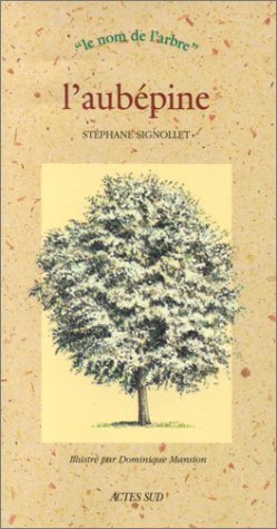 L'Aubépine by Stéphane Signollet