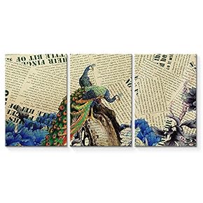 Canvas Wall Art Abstract Vintage Peacock...