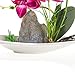 Imiee Artificial Phaleanopsis Arrangement with Vase Decorative Orchid Flower Bonsai (Purple)