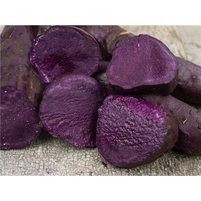 okinawan sweet potato Seeds,Also known as Hawaiian Sweet Potato and Uala