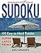 Summertime Sudoku: 100 Easy to Hard Puzzles - Large Print (Puzzle Books Plus) by Lou Gruden