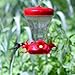 Perky-Pet 120TF Top Fill Push-Pull 16-ounce Magnolia Plastic Hummingbird Feeder