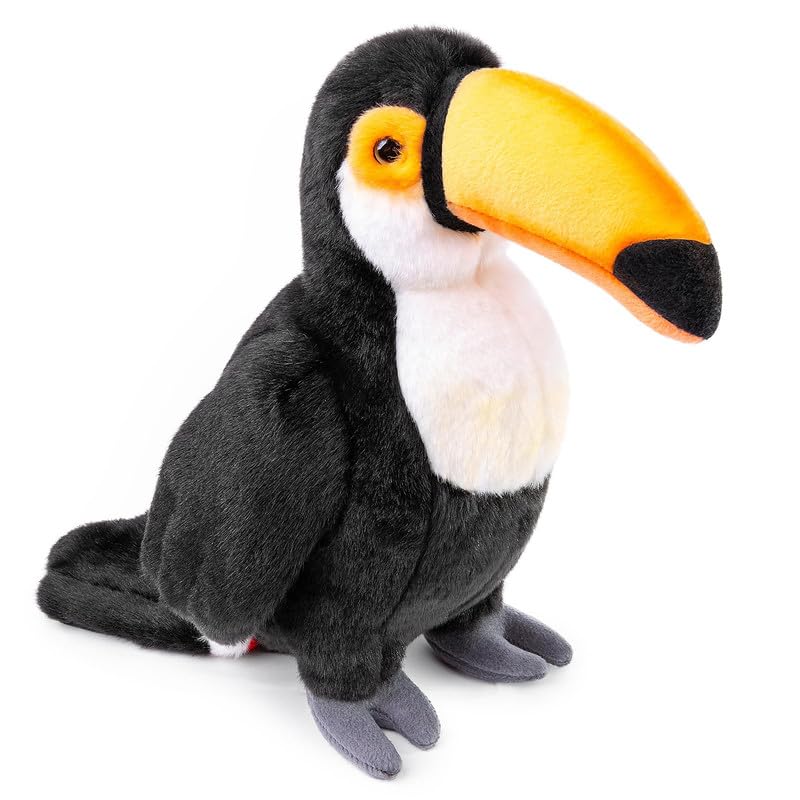 Toucan