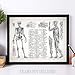 Human Anatomy - Muscular and Skeletal Systems - 11x14 Unframed Art Print - Makes a Great Clinic or Office Decor and Gift Under $15 for Doctors, Nurses, Nursing and Medical Students