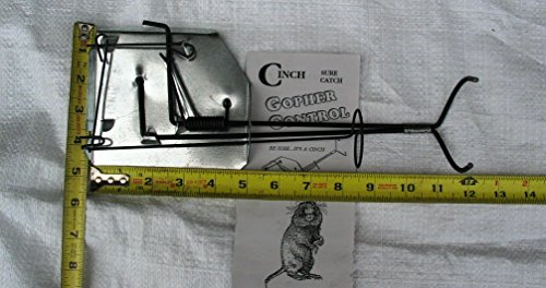 CINCH Traps-Medium Gopher Trap Kit: Three Gopher Traps with Tunnel Marking Flags and Instructions- Made in America